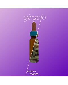 Girgola Tintura Madre x 60 ml. Elaboración Propia Laboratorio Vassallo