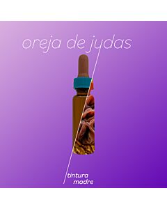 Oreja de Judas Tintura Madre x 60 ml. Elaboración Propia Laboratorio Vassallo